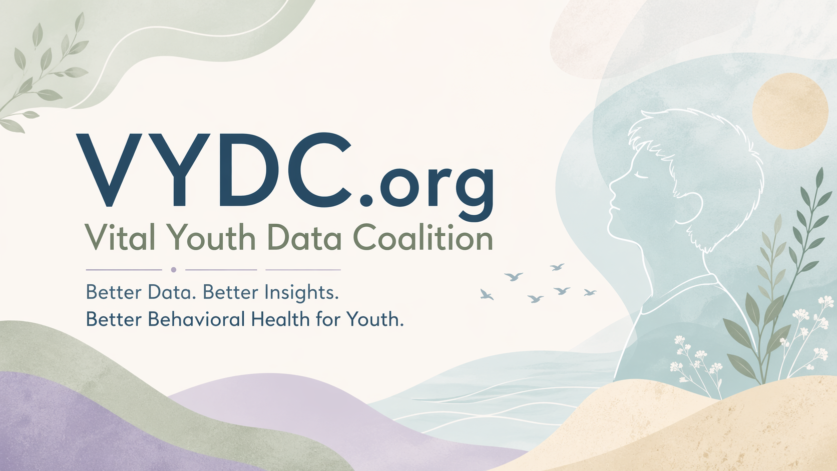 VYDC.org banner with illustrated youth profile, flying birds, wildflowers, and soft pastel landscape